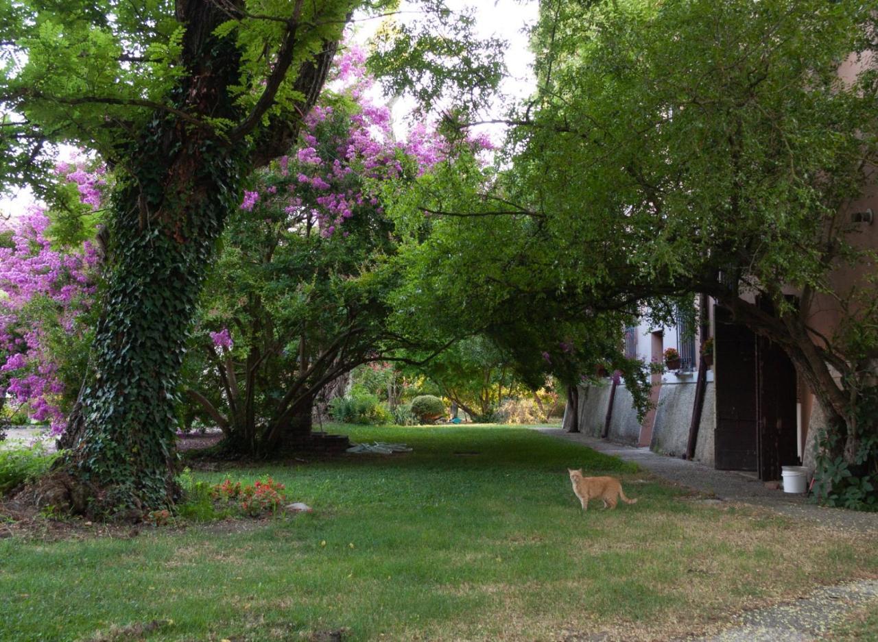 Ca Morari Bed & Breakfast Argenta Exterior photo