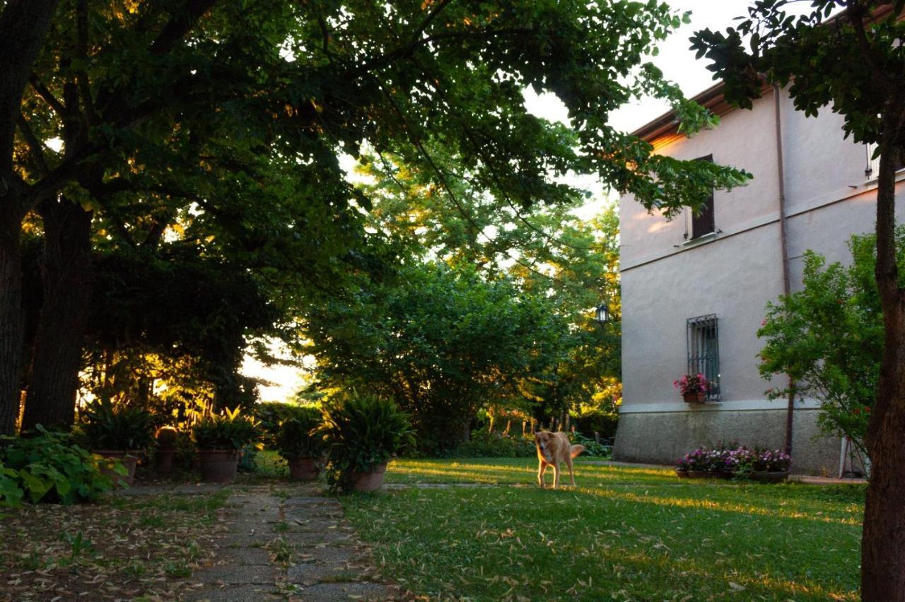 Ca Morari Bed & Breakfast Argenta Exterior photo
